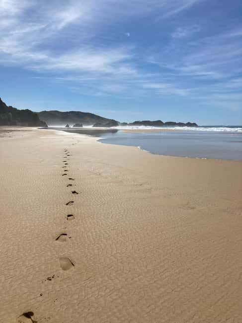 Los Angeles: 2-Day Private Surf Tour with Lunch - Who Will Love This Tour?