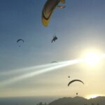 Los Angeles: 30-Minute Tandem Paragliding Experience - The Reviews: A Mixed Bag