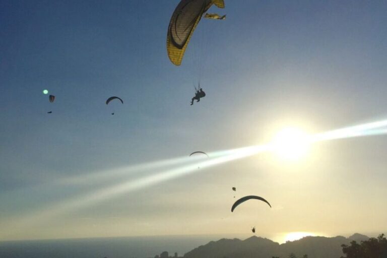 Los Angeles: 30-Minute Tandem Paragliding Experience - The Reviews: A Mixed Bag