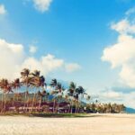 Los Angeles: 7-Hours City & Beach Tour With Hotel Pick Up - The Logistics and Overall Value