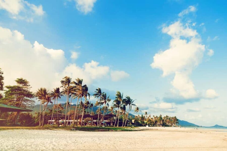 Los Angeles: 7-Hours City & Beach Tour With Hotel Pick Up - The Logistics and Overall Value