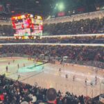 Los Angeles: Anaheim Ducks Ice Hockey Game Ticket - Overview of the Experience