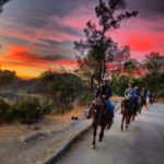 Los Angeles: Evening 2-Hour Hollywood Horseback Riding Tour - The Sum Up