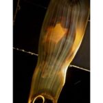 Los Angeles: Heal The Bay Aquarium in Santa Monica - The Experience Itself