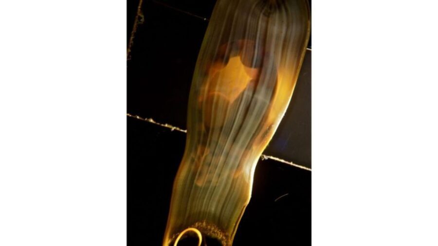 Los Angeles: Heal The Bay Aquarium in Santa Monica - The Experience Itself