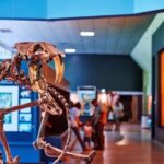 Los Angeles: La Brea Tar Pits Museum Ticket - Exploring the Tar Pits and Surroundings