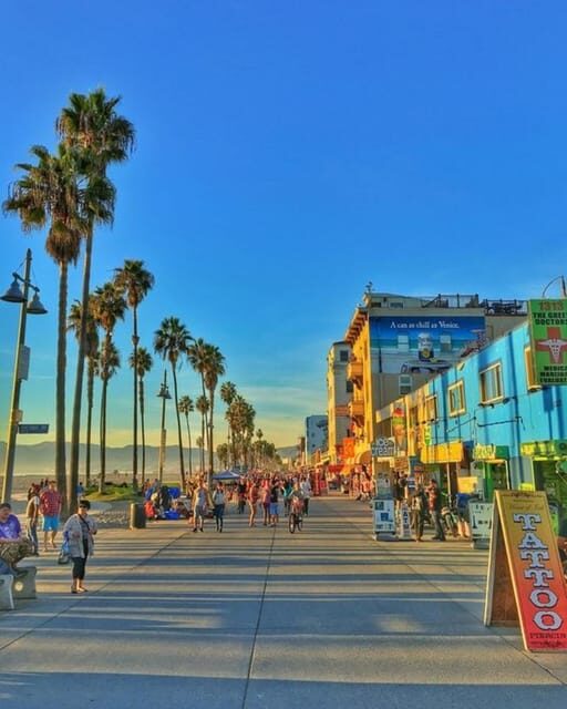 Los Angeles : Must-See Attractions Car Tour with a Guide - How the Tour Works in Practice