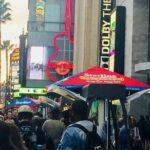 Los Angeles Private City Tour - A Closer Look at the Itinerary and What Youll Experience
