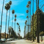 Los Angeles Private Sightseeing Tour - The Private Touch: Why It Matters