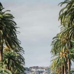 Los Angeles: Stardust & Hollywood Secrets Time-Travel Tour - How the Tour Unfolds