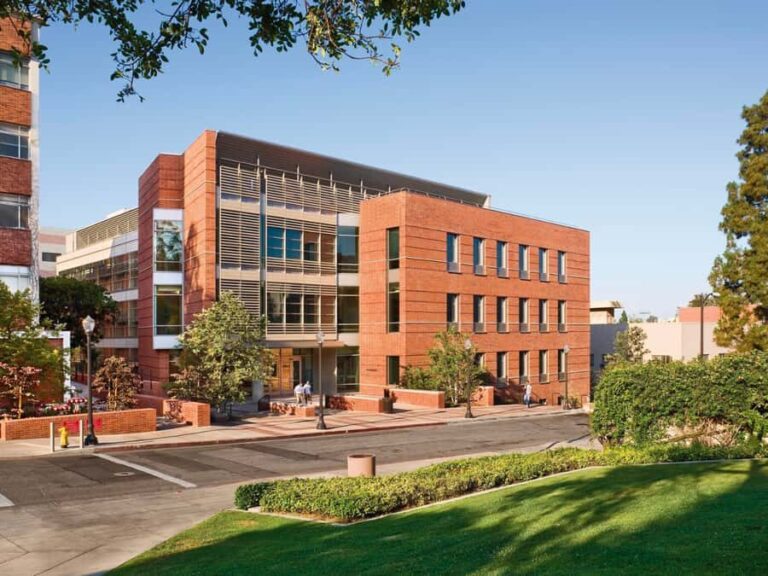 Los Angeles: UCLA Campus Guided Walking Tour - The Interactive Q&A & Post-Tour Freedom