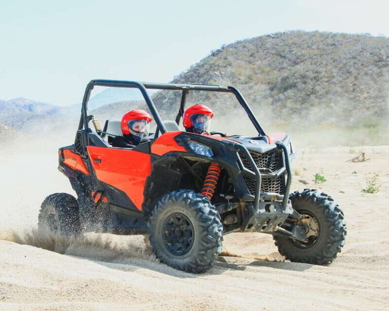 Los Cabos: 2 in 1 Combo Tour - What Travelers Are Saying