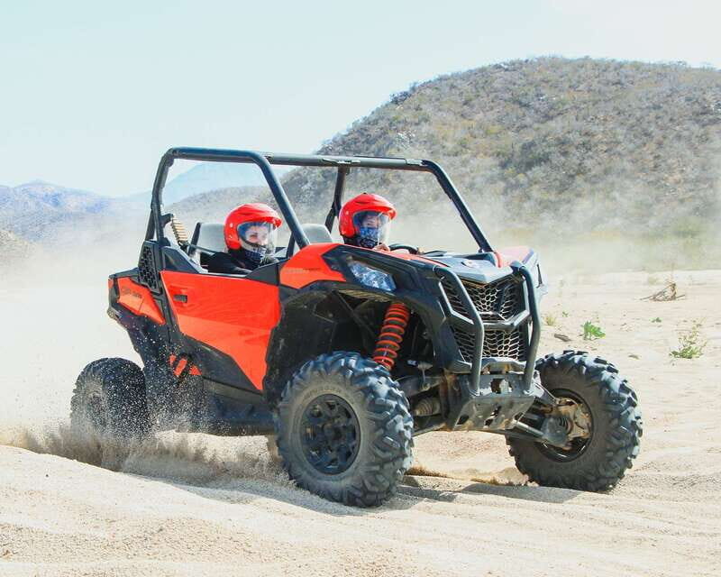 Los Cabos: 2 in 1 Combo Tour - What Travelers Are Saying