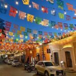 Los Cabos Airport Private Transfer SJD to Multiple Destinations - The Practicalities of the Transfer: What You’ll Receive