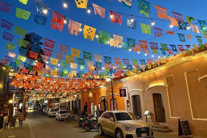 Los Cabos Airport Private Transfer SJD to Multiple Destinations - The Practicalities of the Transfer: What You’ll Receive