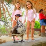 Los Cabos: Animal Encounter & Aqua Park Adventure - Who Should Consider This Tour?