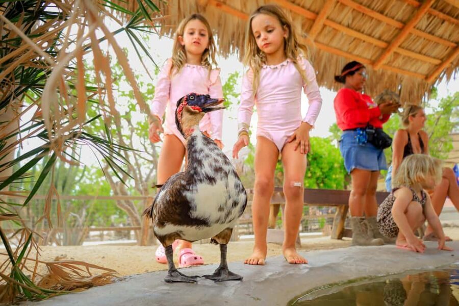 Los Cabos: Animal Encounter & Aqua Park Adventure - Who Should Consider This Tour?