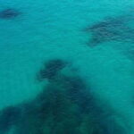 Los Cabos Beach Day Pass Adventure - What’s Included and What’s Not