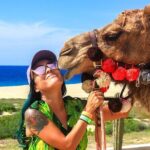 Los Cabos Camel Ride Adventure On The Beach - Final Thoughts