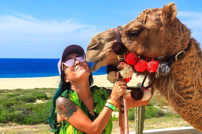 Los Cabos Camel Ride Adventure On The Beach - Final Thoughts