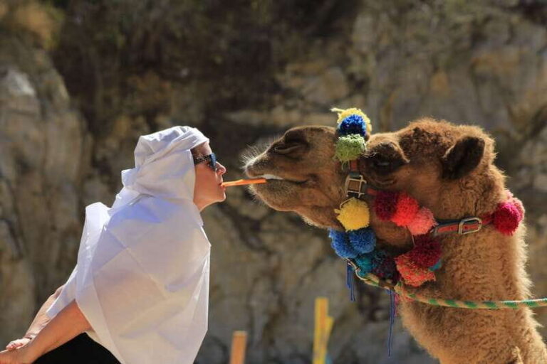 Los Cabos: Camel Ride in the Canyon & Thrilling Water-Slides - The Camel Ride Experience