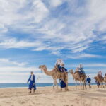 Los Cabos: Desert & Sea Camel Safari Tour with Lunch - What’s Included and What’s Not