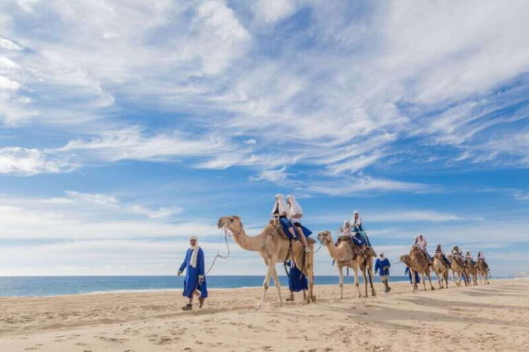 Los Cabos: Desert & Sea Camel Safari Tour with Lunch - What’s Included and What’s Not