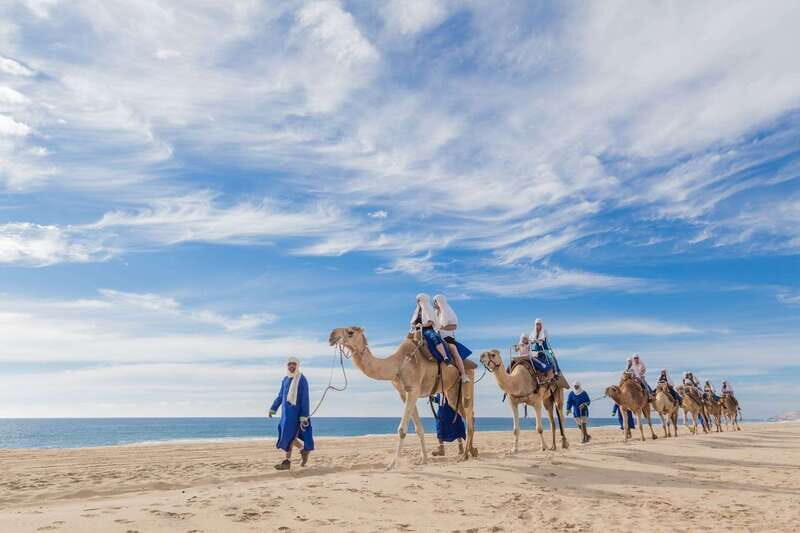 Los Cabos: Desert & Sea Camel Safari Tour with Lunch - What’s Included and What’s Not