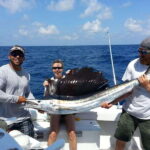 Los Cabos: Fishing Experience - The Catch and How Its Handled