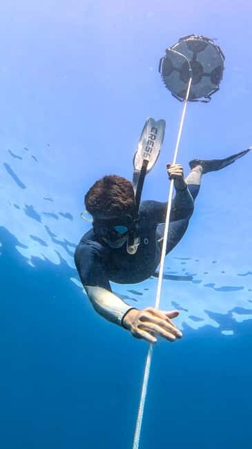 Los Cabos: freediving sessions - How This Tour Compares to Other Activities
