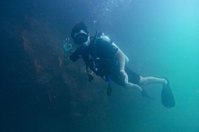 Los Cabos Open Water Diver Course - The Day-by-Day Breakdown