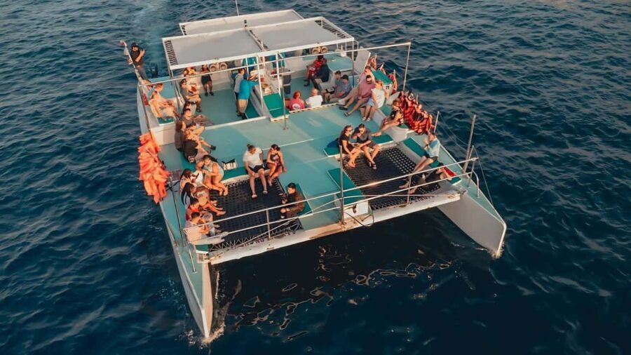 Los Cabos Party Catamaran: Snorkeling, Open Bar & Music Fun - Who Will Love This Tour?