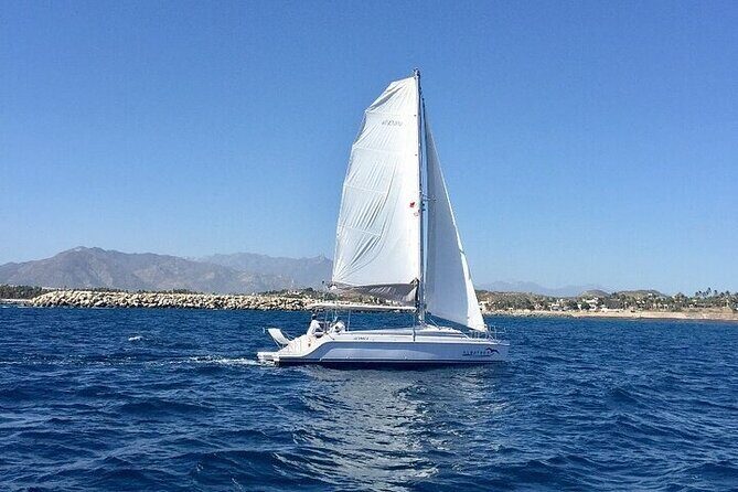 Los Cabos Platinum Snorkel Experience - Breaking Down the Details