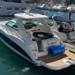 LOS CABOS: PRIVATE BAY AND ARCH TOUR. LUXURY YACHT - Setting Out from Cabo San Lucas Marina