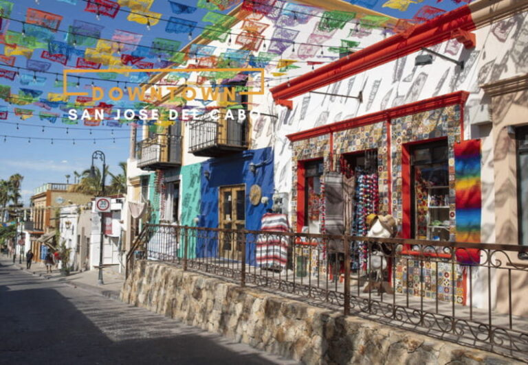 Los Cabos: San Jose del Cabo and Cabo San Lucas Tour - The Itinerary in Detail