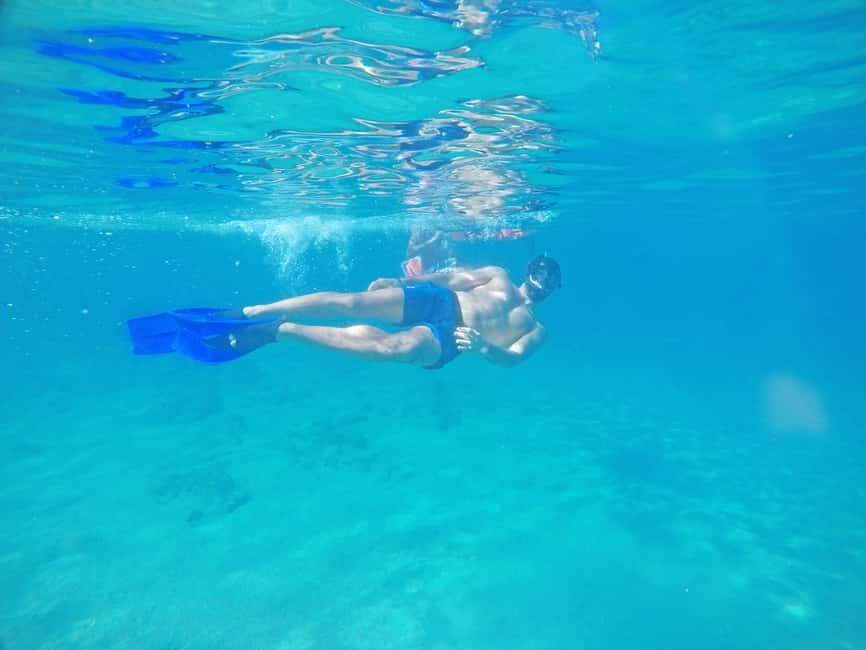 Los Cabos: Snorkeling Cruise with Lunch - What We Love About This Tour