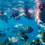 Los Cabos Snorkeling Tour by Speed Boat with Photos Included - Key Points