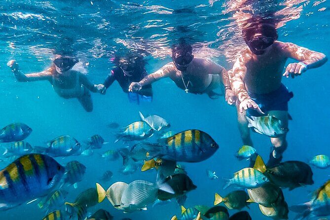 Los Cabos Snorkeling Tour by Speed Boat with Photos Included - Key Points