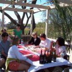 Los Olivos: E-Bike Tour + Vineyard Lunch w/Wine Tasting - The Vineyard Lunch & Wine Tasting
