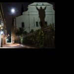 Louisiana: Adults-Only Small-Group Ghost & Vampire Tour - Why Travelers Love This Tour