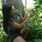 Love the Land Indigenous Walking Tour Capilano River Hatchery - Who Should Consider This Tour?