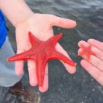 Low Tide Excursion & Totem Bight Park - Who Should Consider This Tour?