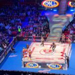 Lucha Libre and Tacos Experience - Key Points