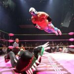 Lucha libre en Puebla (private tour) - What’s Included and What’s Not