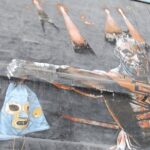 Lucha libre show & Pulque tasting by bicycle - Included and Not Included