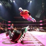 Lucha Libre Tickets & Tacos & Beer & Mezcal - BEST NIGHT EVER! - Frequently Asked Questions