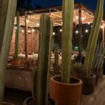 Lucha Libre VIP Meet and Greet - The VIP Meet and Greet Experience