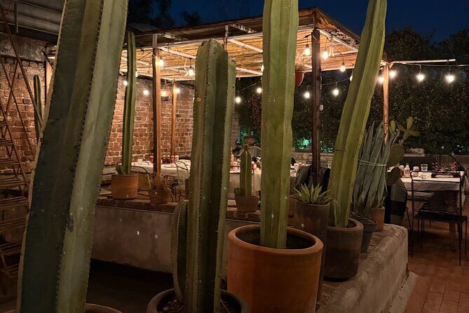 Lucha Libre VIP Meet and Greet - The VIP Meet and Greet Experience