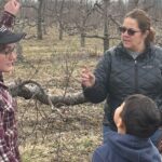 Lunch and Tour of an Apple Orchard with a Farmer in Elyria - Final Thoughts: Is This Experience Worth It?