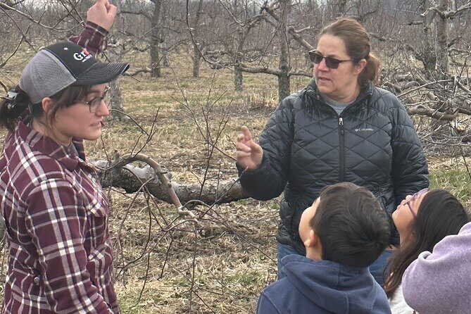 Lunch and Tour of an Apple Orchard with a Farmer in Elyria - Final Thoughts: Is This Experience Worth It?